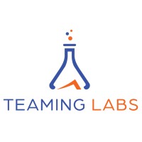 Teaming Labs logo - Similar company to Deepsky