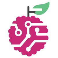 LycheeByte (Labs) LLC logo - Similar company to Itw Rippey