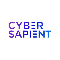 CST - Cyber Sapient logo - Similar company to 9 Elephants