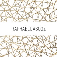Raphaella Booz logo - Similar company to Di Valentini