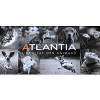 Centre Hospitalier Vétérinaire Atlantia logo - Similar company to Chv Onlyvet