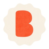 Boonzie logo - Similar company to Bityond