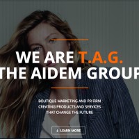 The Aidem Group logo - Similar company to Aidem Group Llc