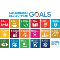 Invest-With-Purpose logo - Similar company to Global Markets Advisory Group Llc