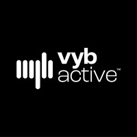 Vyb Active Private Limited logo - Similar company to Vision Management Consultants