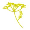 Yarrow Cookery School logo - Similar company to Papple Steading