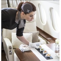 VIP Flight Attendant logo - Similar company to Vip Private Jet