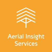 Aerial Insight Services logo - Similar company to Ursafe Drone Solution