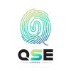 Cabinet QSE EXPERT CONSULTING logo - Similar company to Tkz Consulting Group