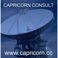 Capricorn Consult - Germany & Bulgaria logo - Similar company to Central Depository