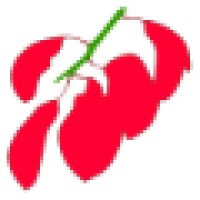 Seibo Software Studios AB