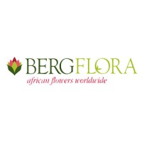 Bergflora Cape Town (Pty.) Ltd. logo - Similar company to Intaba Flowers Pty Ltd