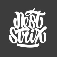 NestStrix logo - Similar company to Antsgames