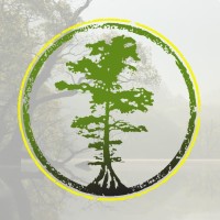 Cypress Solar & Roofing logo - Similar company to Dri-Con