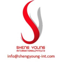Sheng Young International Pvt Ltd logo - Similar company to Beyond Brand