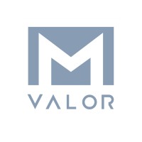 Mvalor Group logo - Similar company to Volte, Inc.