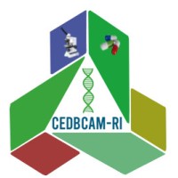 CEDBCAM-RI logo - Similar company to Mcd Sa