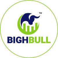 BIGH BULL logo - Similar company to Trading Bot Lab