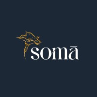 Soma FNB logo - Similar company to The Angle