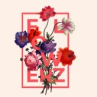 Pick Flowerz logo - Similar company to Flowrz