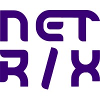 NETRIX SOFTWARE logo - Similar company to Benzaiten