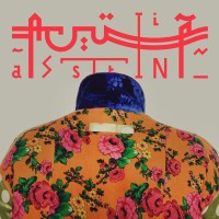 aassttiinn.com logo - Similar company to Mohsen Gallery