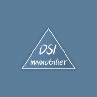 DIRECT SERVICE IMMOBILIER logo - Similar company to Ginet Immobilier