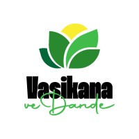 Vasikana veDande logo - Similar company to Enzon Enterprises
