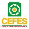 CEFES BENIN logo - Similar company to Ingenix