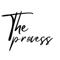 The Process logo - Similar company to Shila