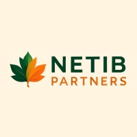 Netib Partners logo - Similar company to Medco Technology Solutions