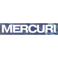 Mercuri logo - Similar company to Ergodic