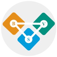 BIGVIBE SOFTWARES logo - Similar company to Helicon Inc