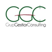 GestioR Consulting logo - Similar company to Bee The Data
