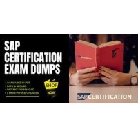 Sap Exams logo - Similar company to Delphi Computech Pvt Ltd