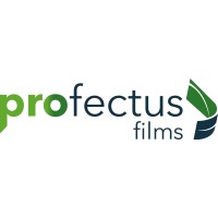 Profectus Films GmbH logo - Similar company to Fixtest Prüfmittelbau Gmbh