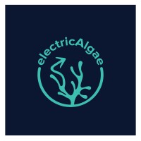 Electricalgae logo - Similar company to Rubisko