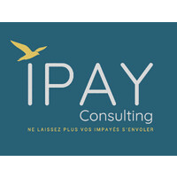 IPAY Consulting logo - Similar company to Talez Consulting
