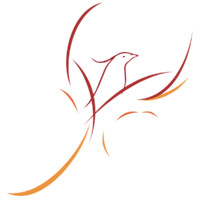 Phoenix Group Of Companies