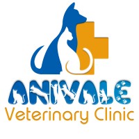 Anivale Veterinary Clinic logo - Similar company to Kaunila