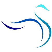 Blue Swan Strategies