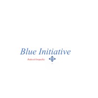BLUE INITIATIVE logo - Similar company to Ericom Digital Marketing