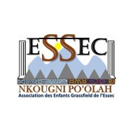NKOUGNI PO’OLAH ESSEC logo - Similar company to Dimoly