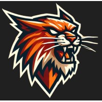 AngryLynx logo - Similar company to Haiduk