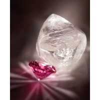Natural Fancy Coloured Diamonds Ltd (Ghoshiexports) logo - Similar company to Thinking Edge Limited