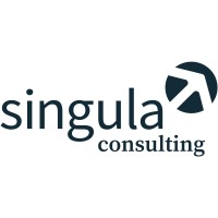 singula consulting logo - Similar company to Techprotect Gmbh