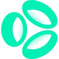 Onyx logo - Similar company to Super It