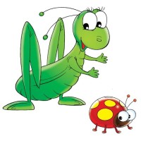 Grasshoppers Lawn Enforcement Llc