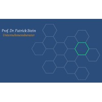 Prof. Dr. Patrick Stein - Unternehmensberater logo - Similar company to Raimund Imo Unternehmensberater