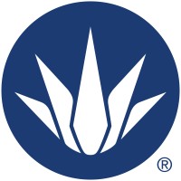DESTILADORA DE AGAVE AZUL logo - Similar company to Abyex Global